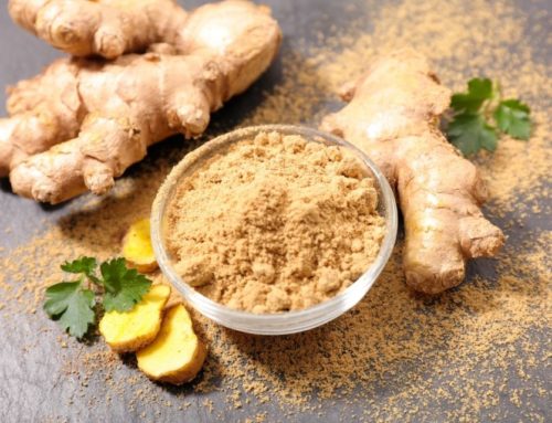 Les plantes médicinales les plus efficaces pour renforcer son immunité