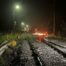 Sentinelle ferroviaire : un maillon essentiel dans la chaîne d’alerte !